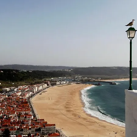 T2-neville's House D Apartman Nazaré